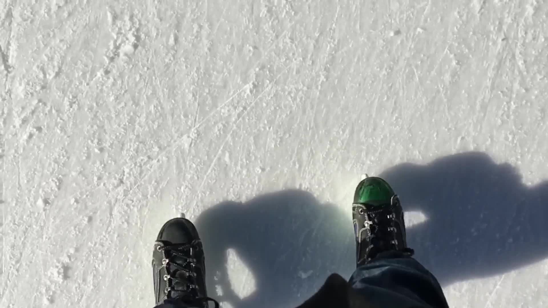 Moving Forward Windows Live Wallpaper