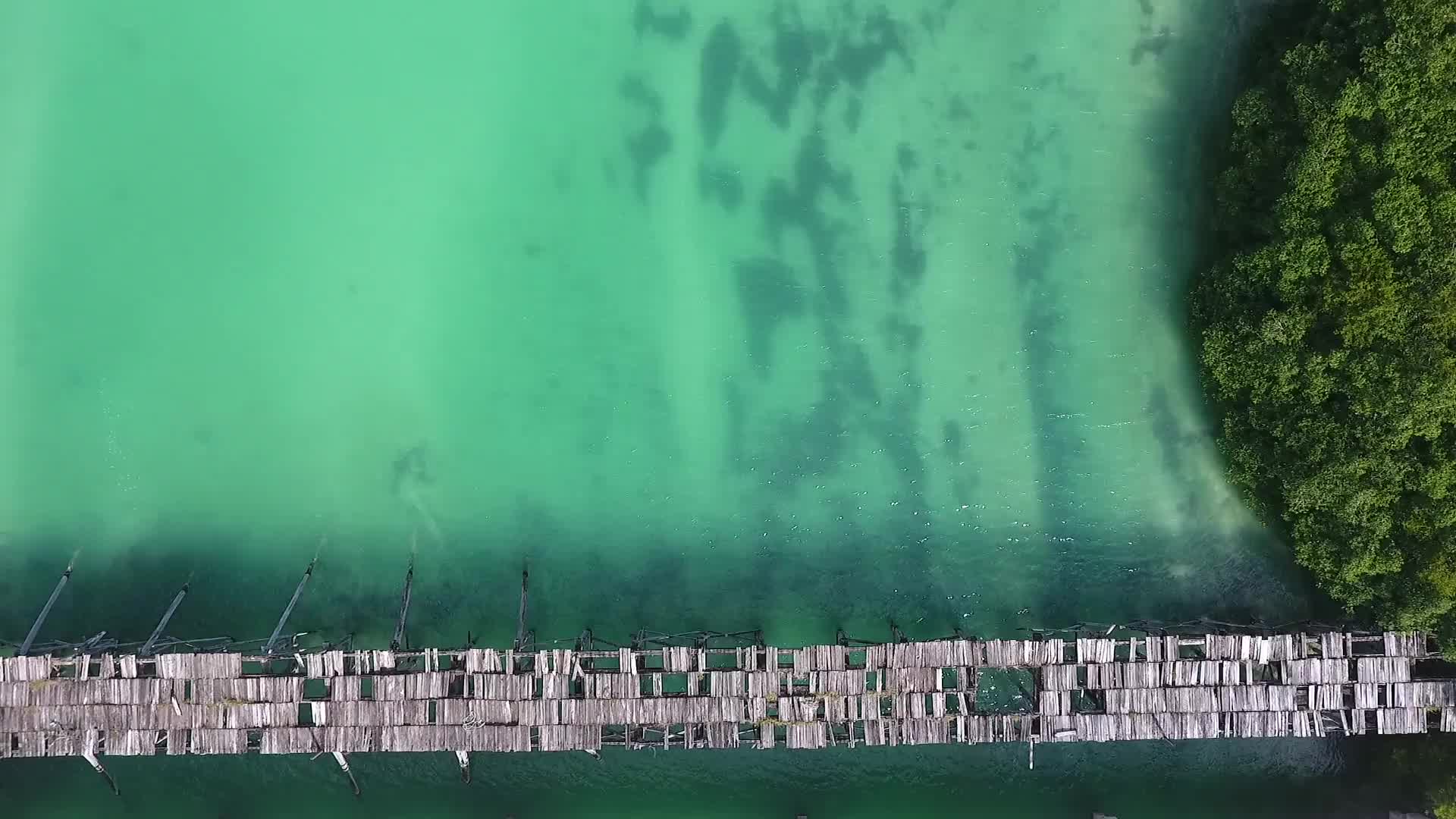 Over The Bridge Windows Animated Wallpaper