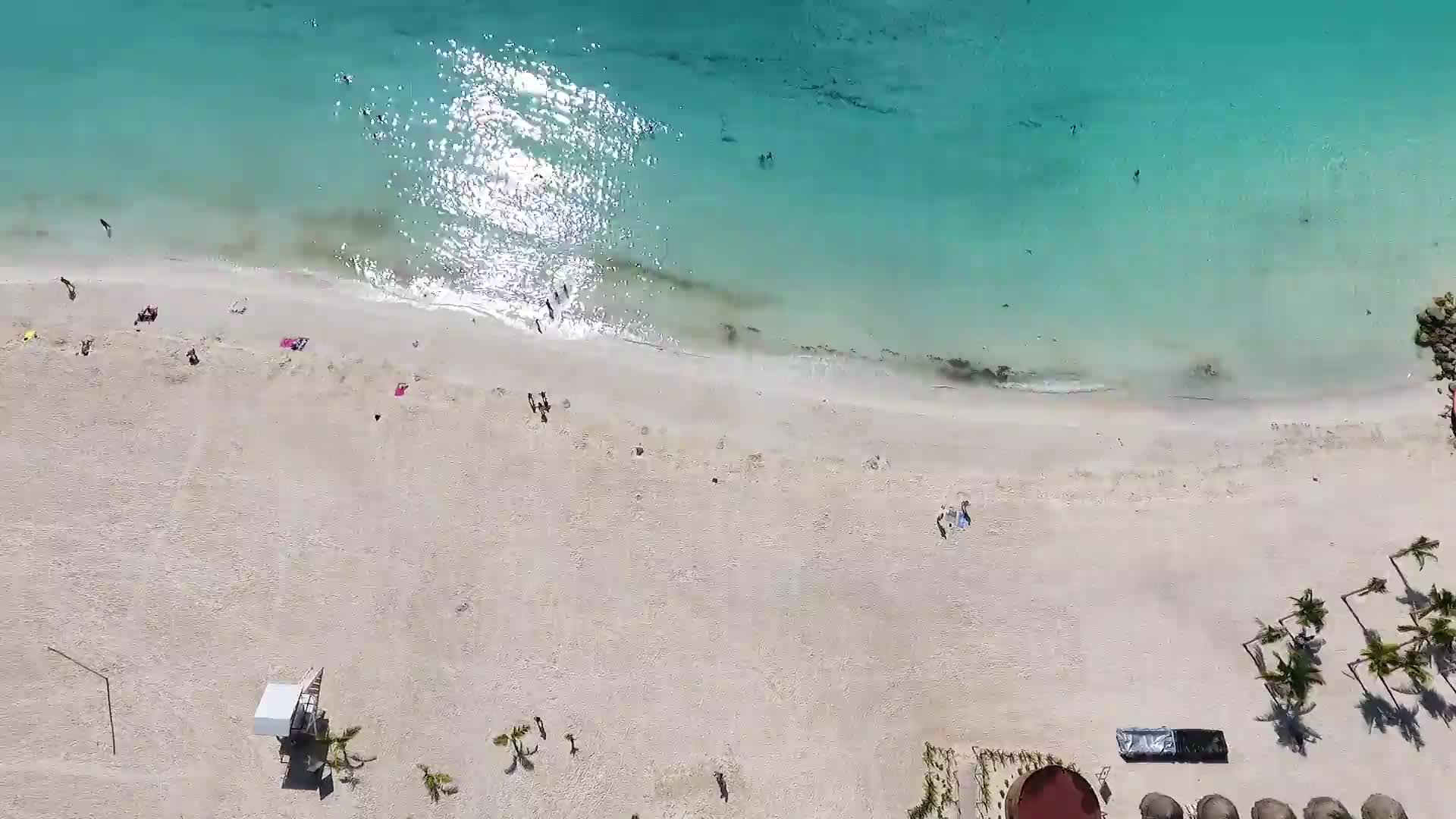 Shore Aerial Sequence Windows Animated Wallpaper