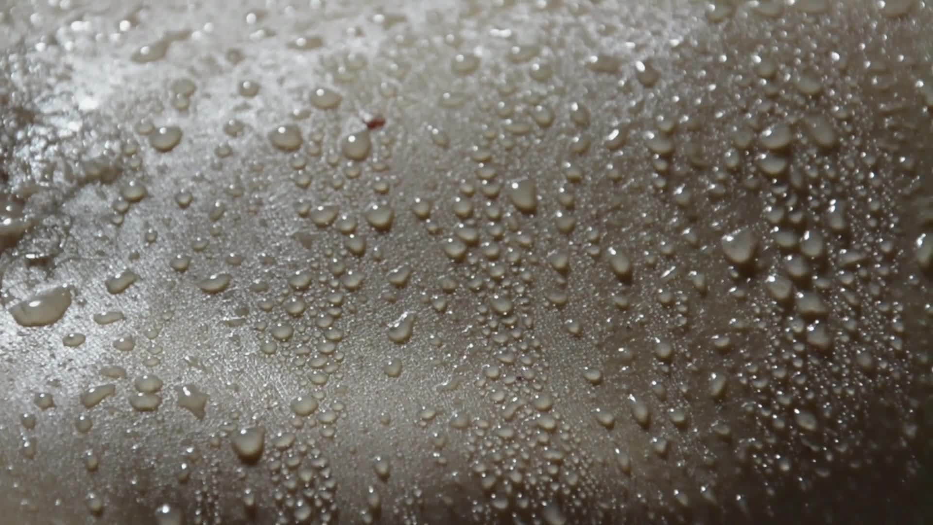 Skin Windows Animated Wallpaper