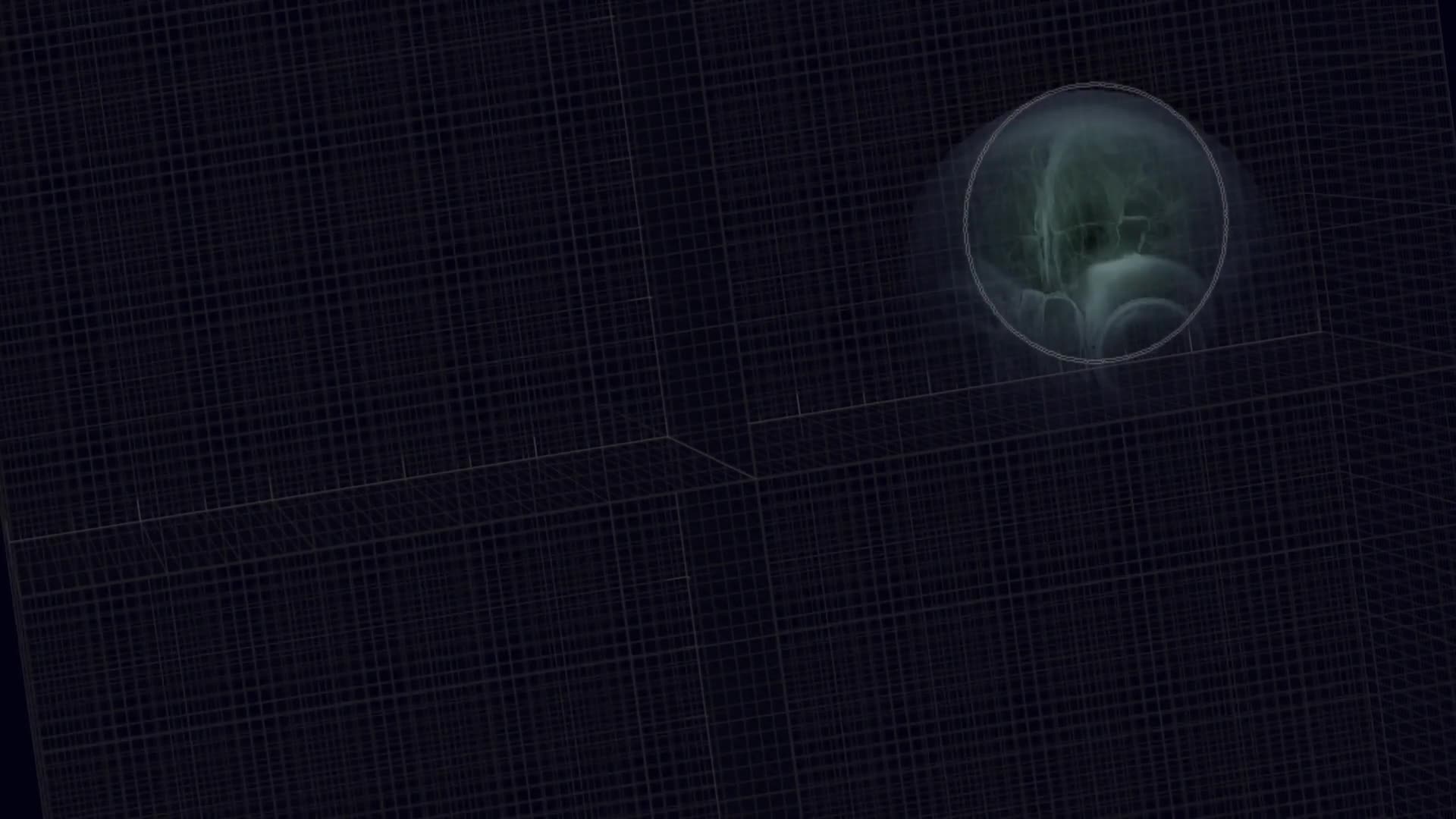 Skull Xray Windows 10 Animated Wallpaper