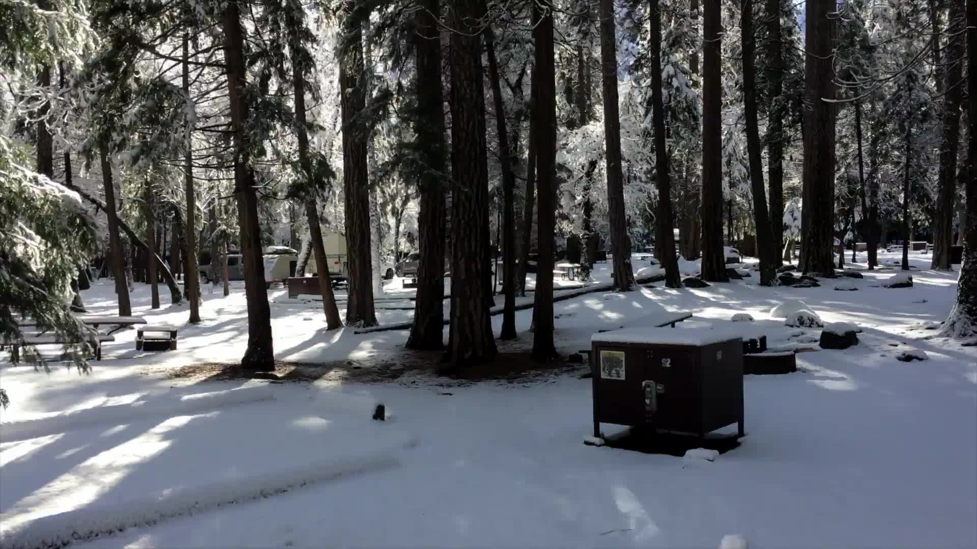 Snow Park Windows Animated Wallpaper