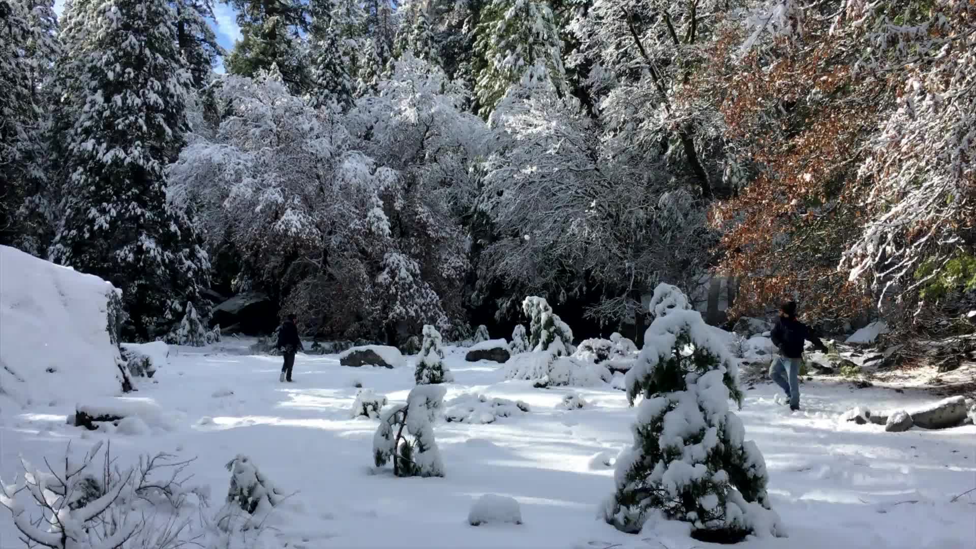 Snowball Windows Live Wallpaper