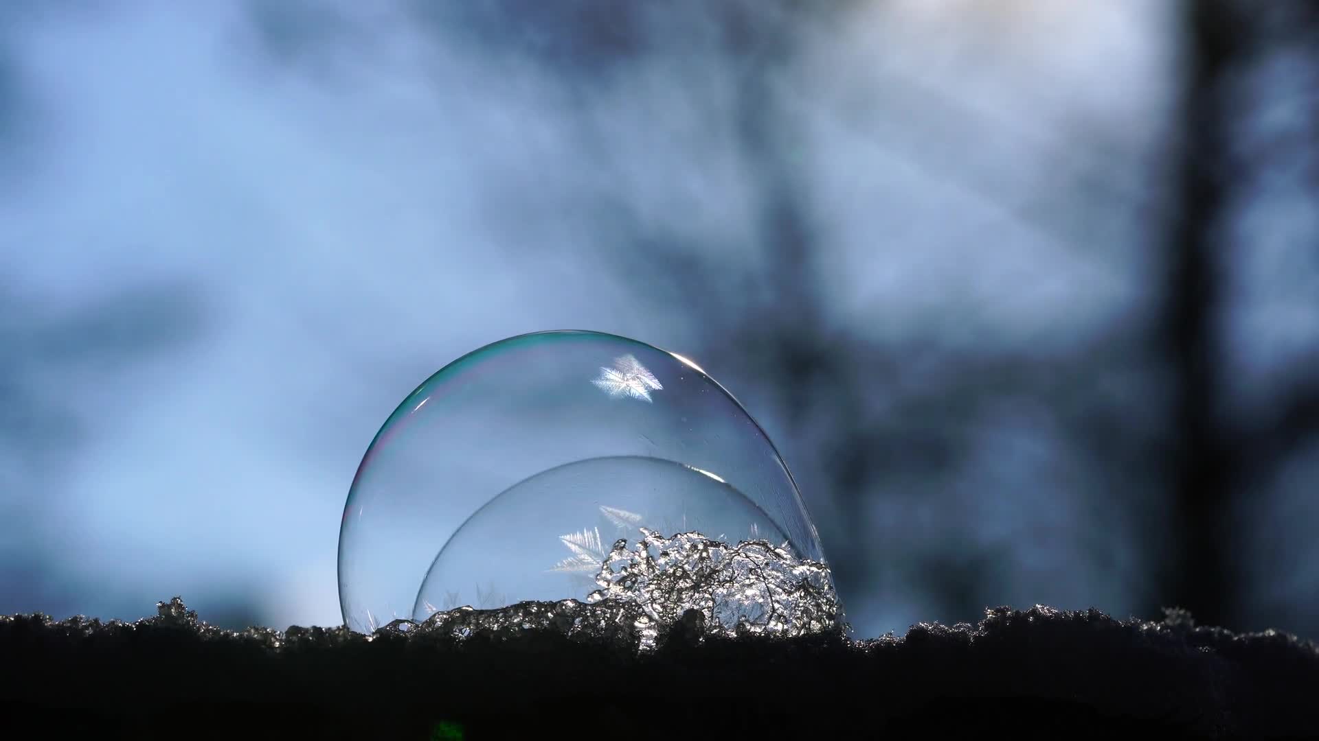 Soap Bubble Windows Animated Wallpaper