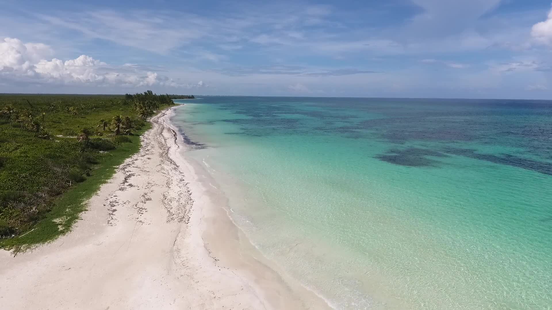 Tropical Windows Animated Wallpaper