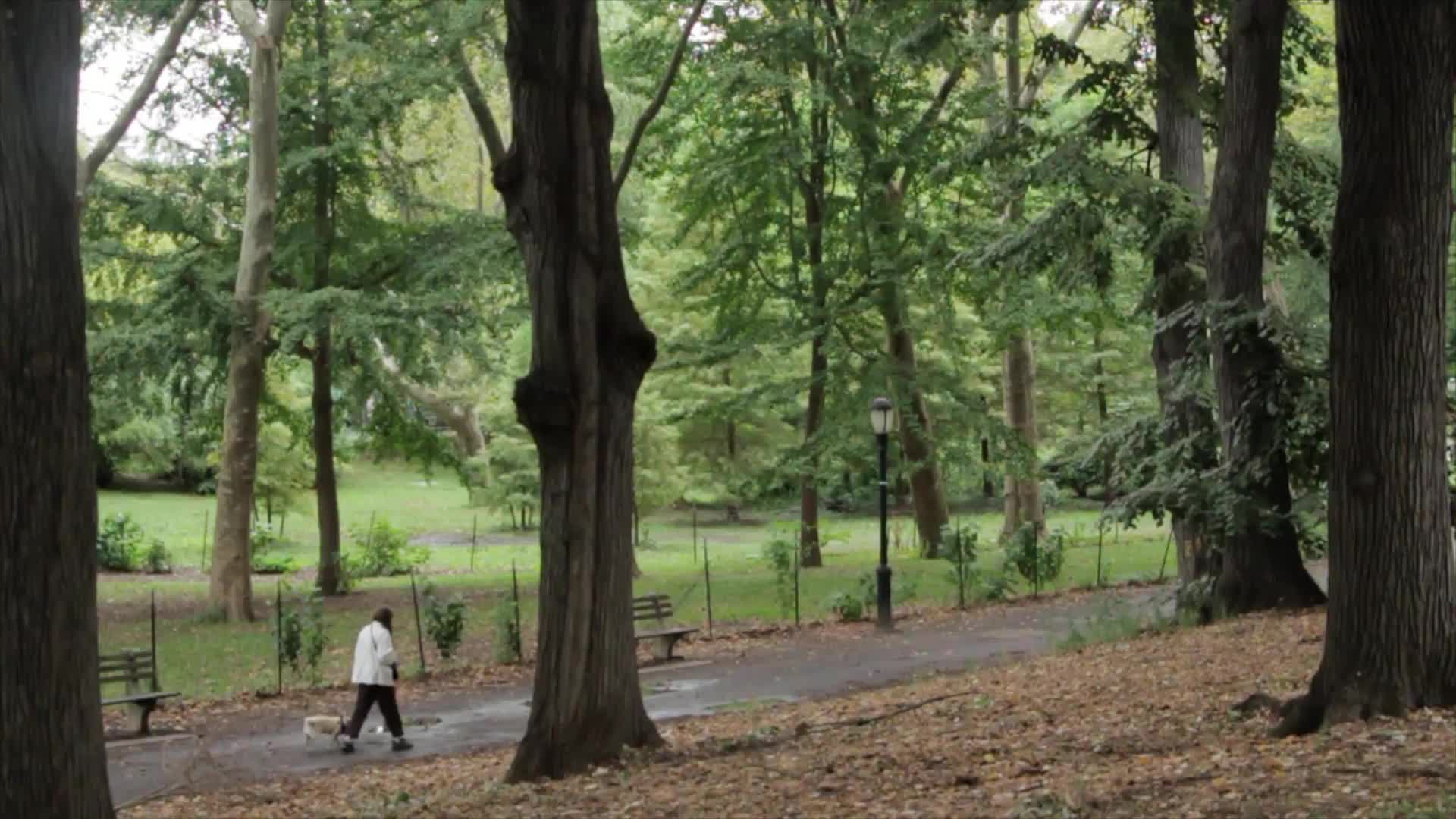 Walk The Dog PC Live Wallpaper