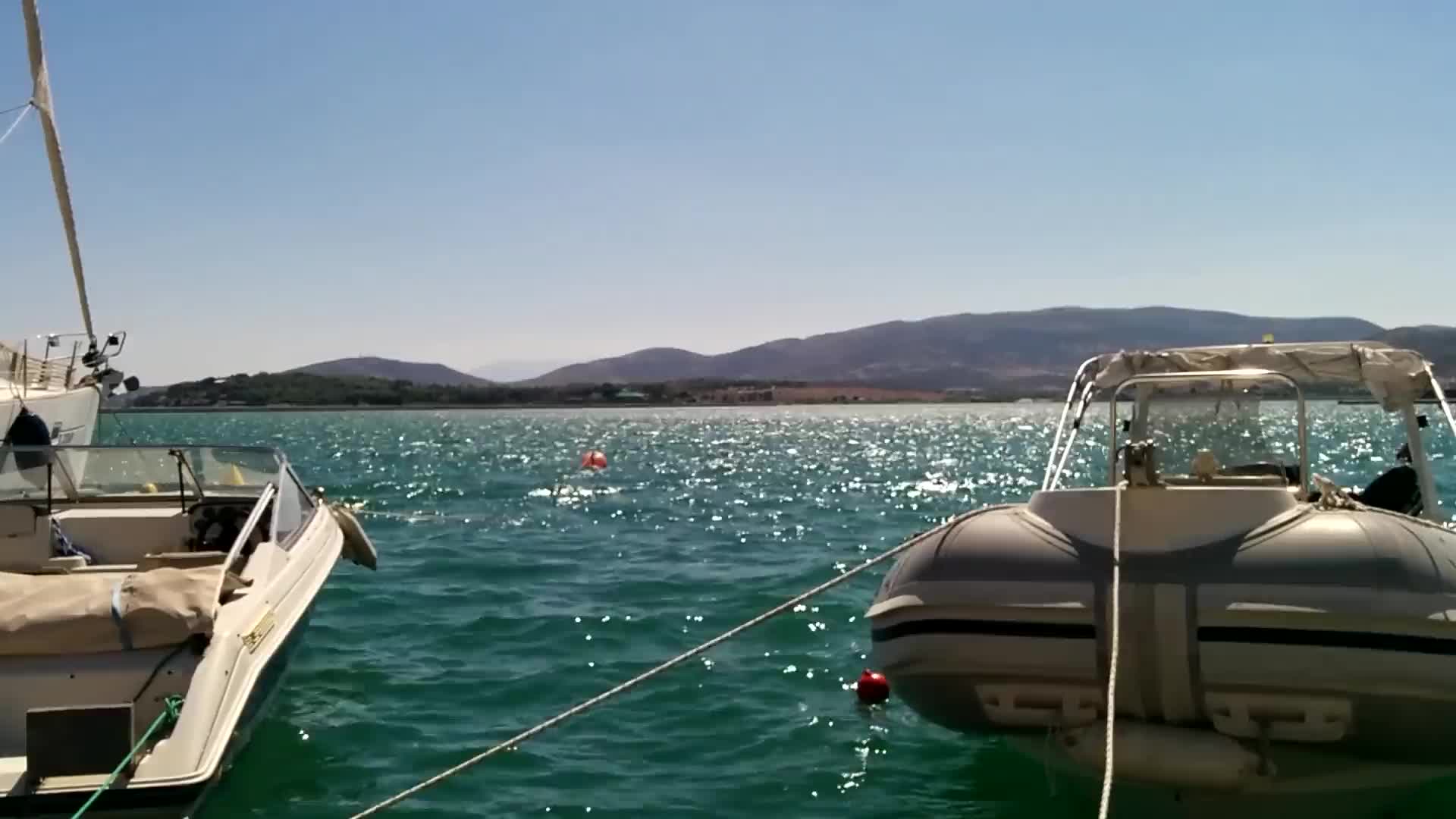 Water Park Windows Animated Wallpaper