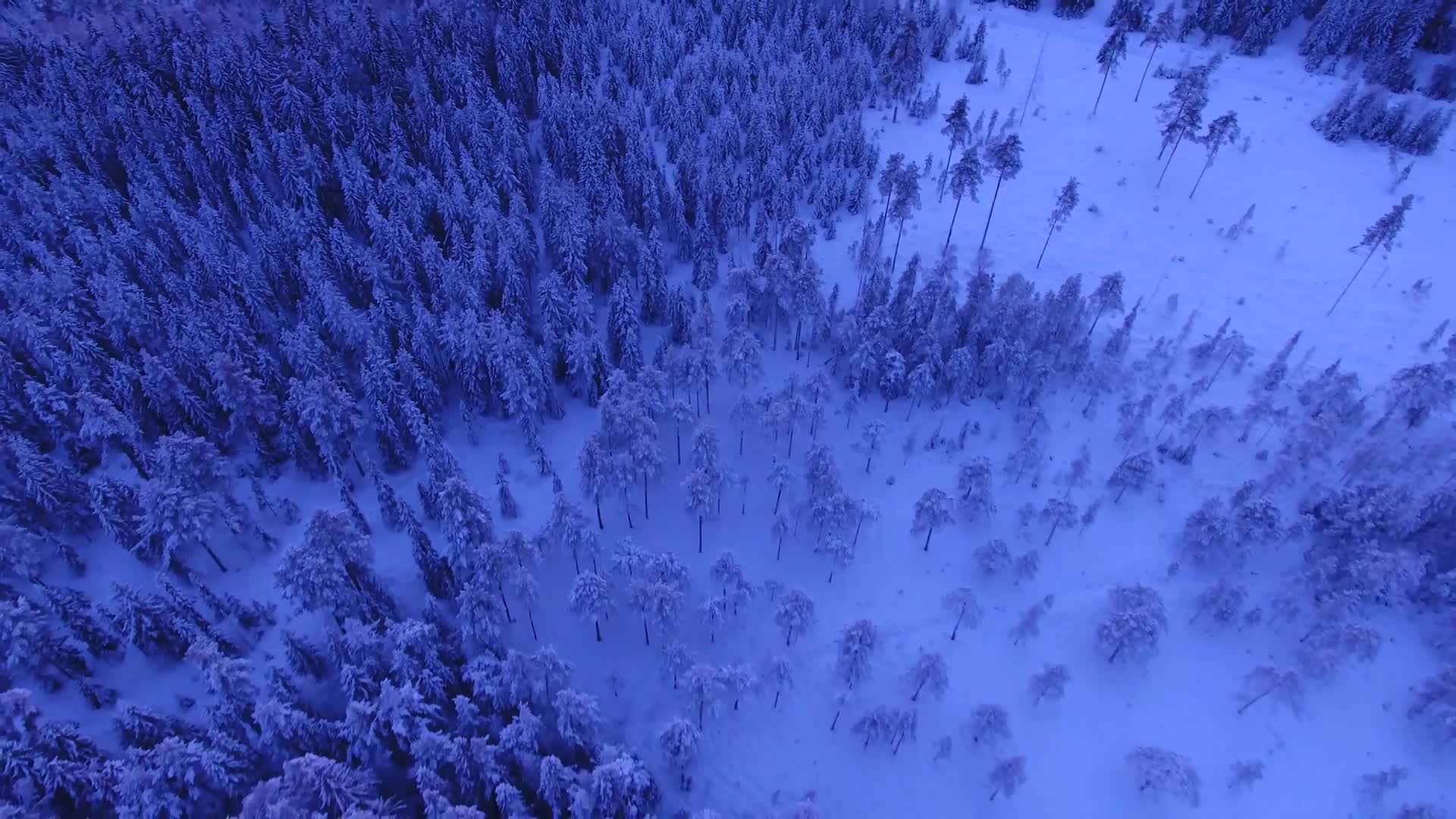 Winter Windows Animated Wallpaper