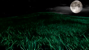 Blissful Night 3D Nature Animation Live Wallpaper