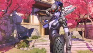 Overwatch Widowmaker Sakura Live Wallpaper