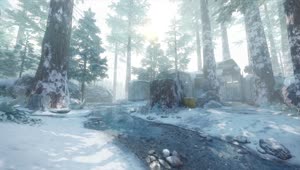 Redwood Snow Stream Live Wallpaper