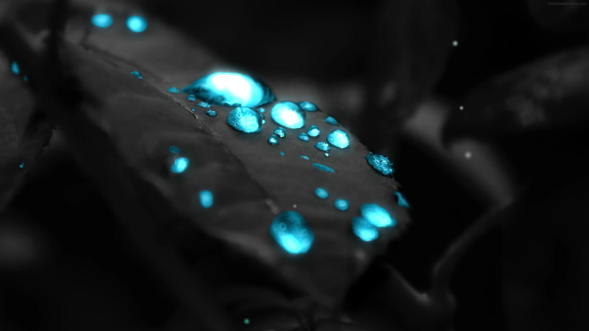 PC Water Droplets HD Live Wallpaper