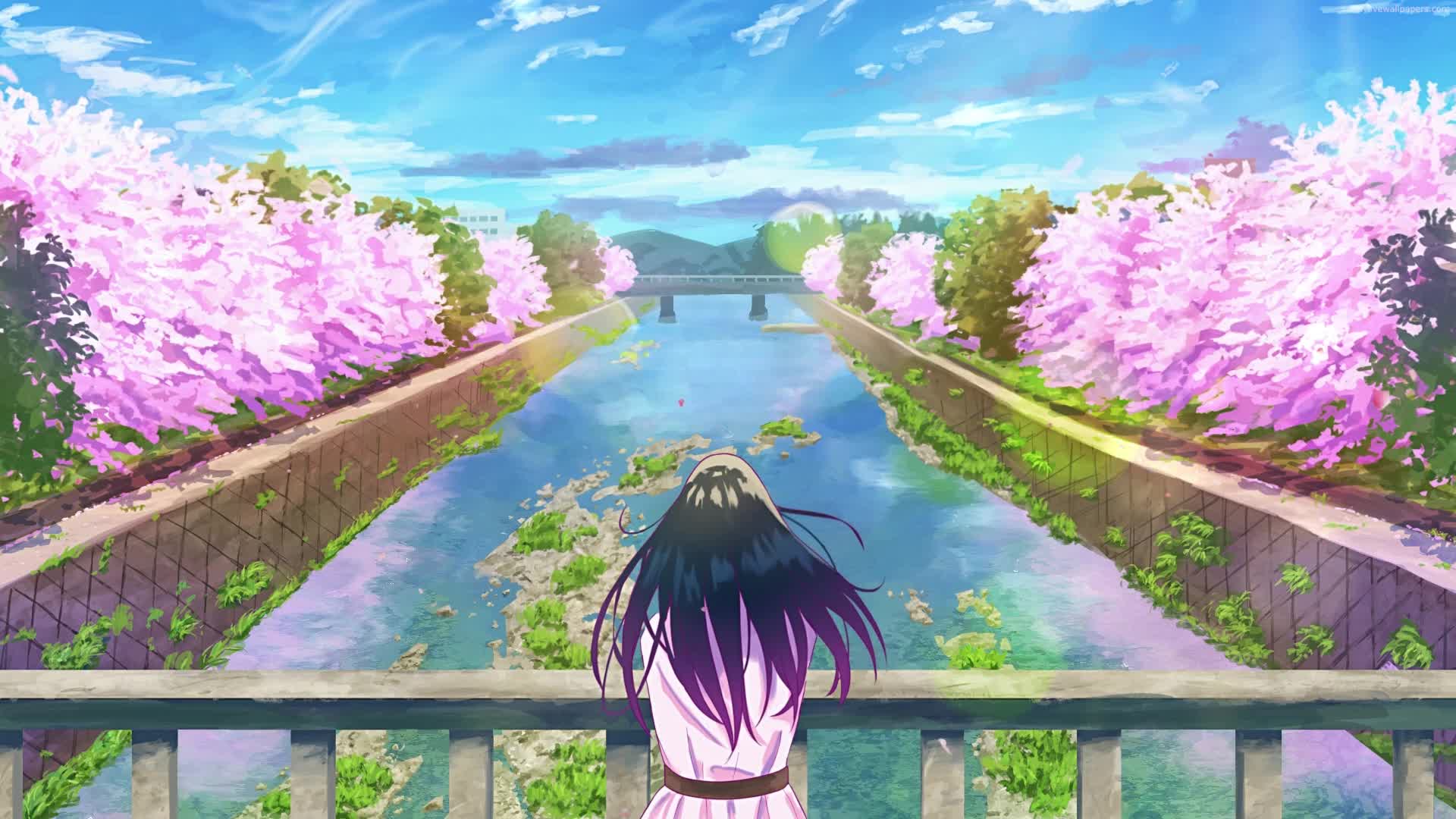 PC Summer Canal HD Live Wallpaper