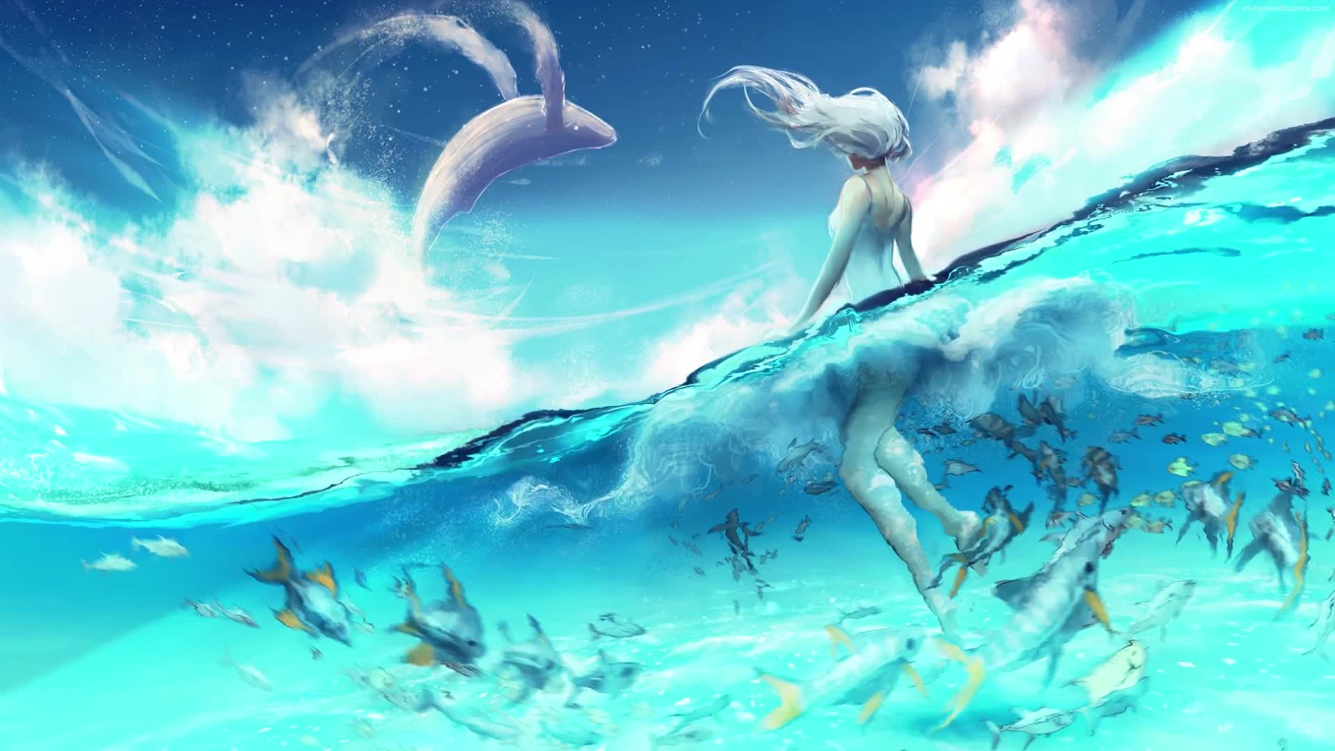 PC Whale Watching HD Live Wallpaper