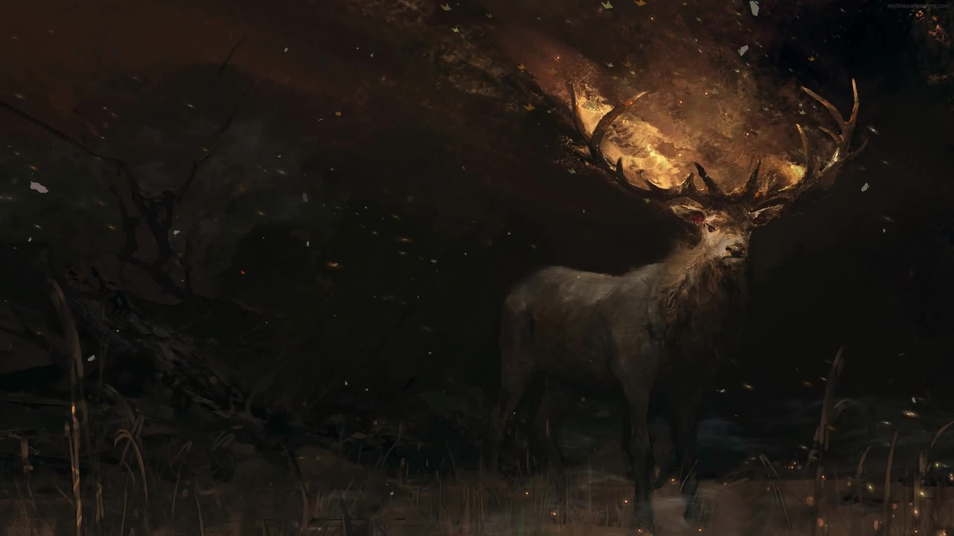 PC Deer HD Live Wallpaper live wallpaper