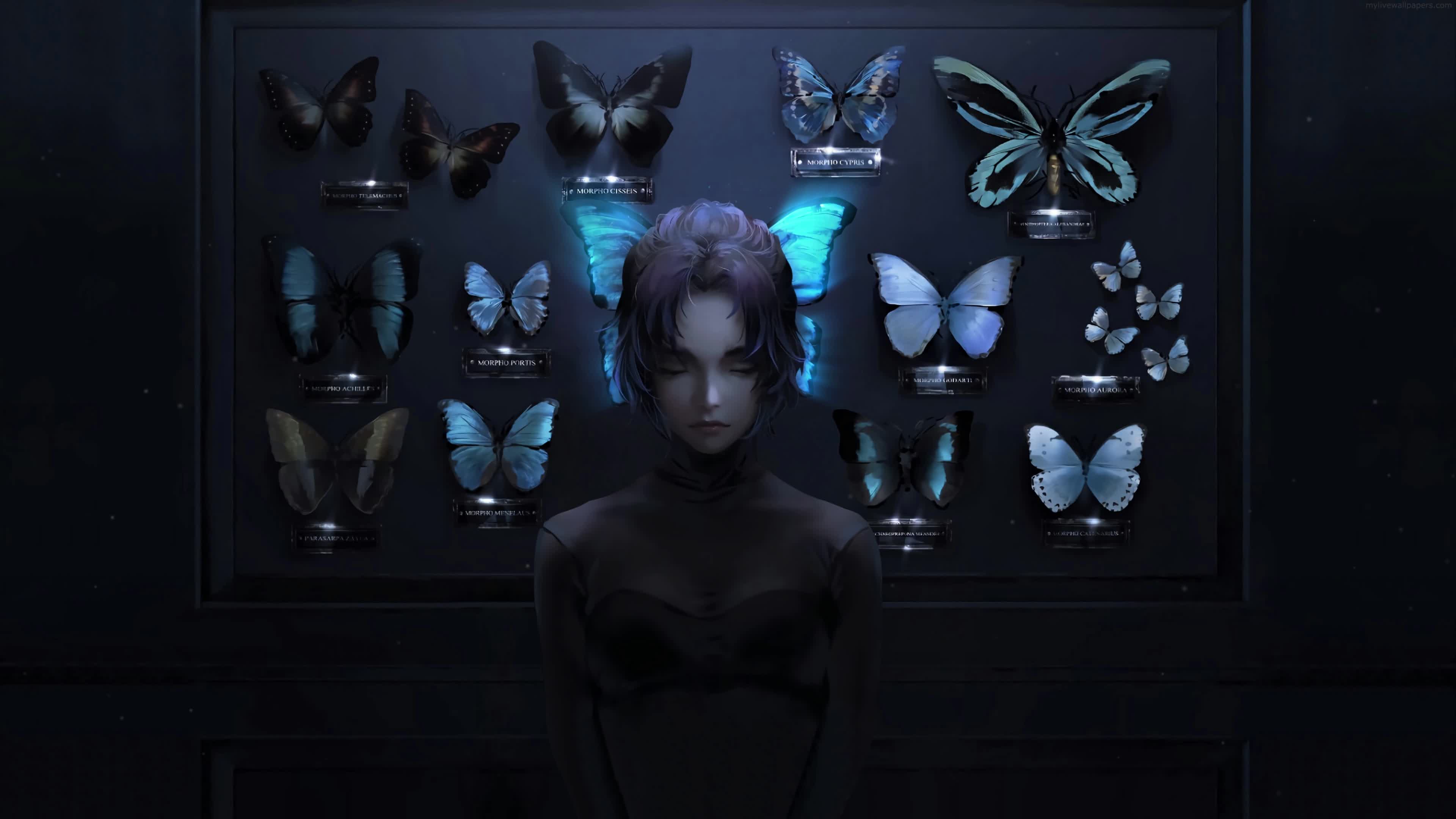 Animated Wallpaper - Shinobu Kocho Butterfly Display 4K