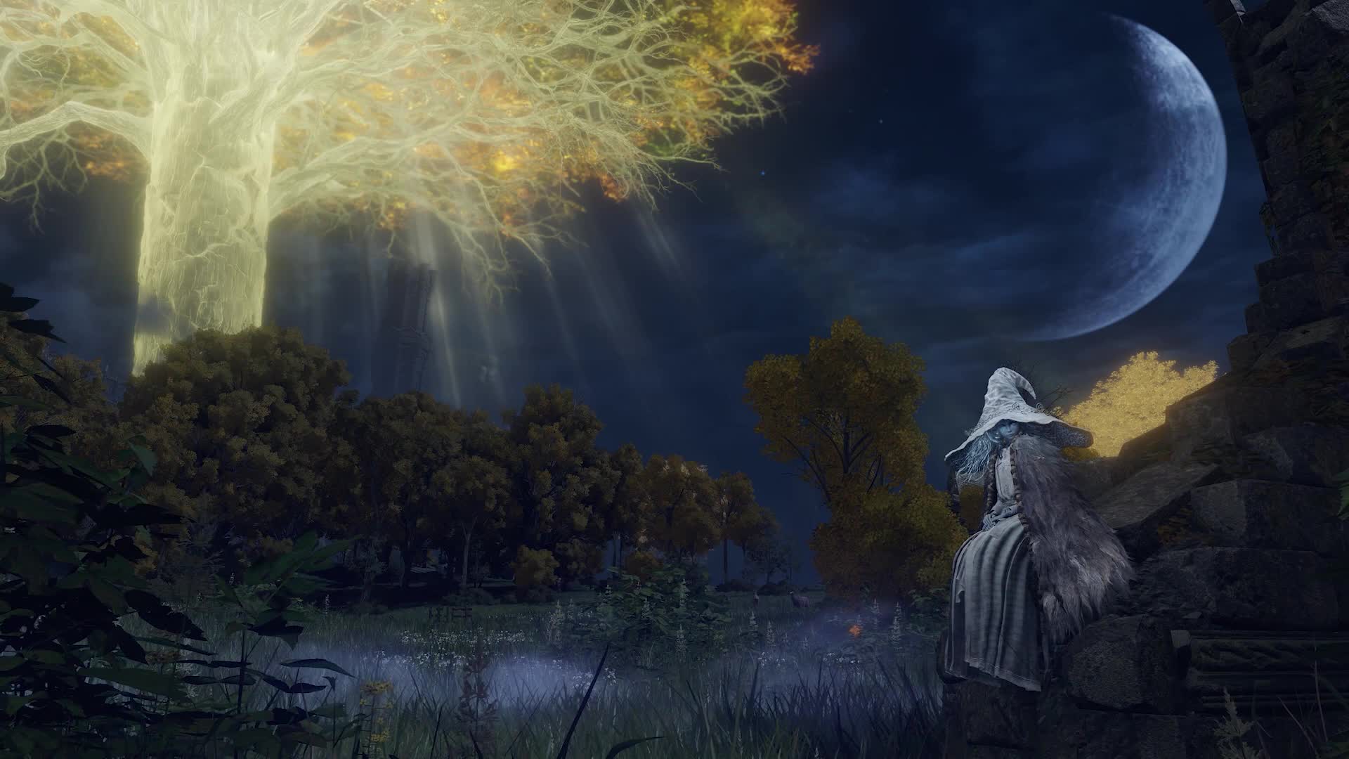 Elden Ring Ranni Quest live wallpaper for pc