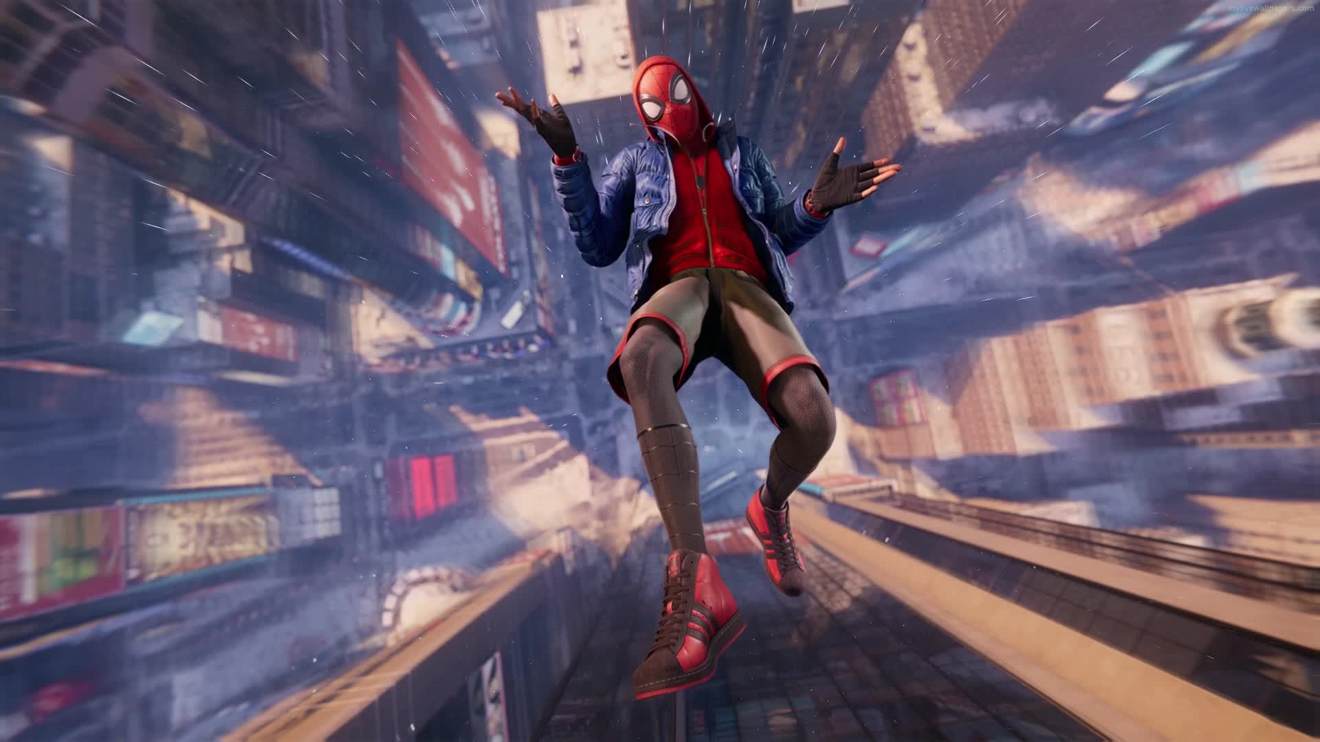 Spiderman Miles Falling Live Wallppaper for PC