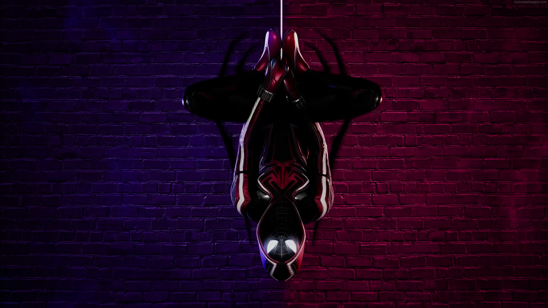 Cool Spiderman Hanging 4k Live Wallpaper Marvel Spiderman No Way Home