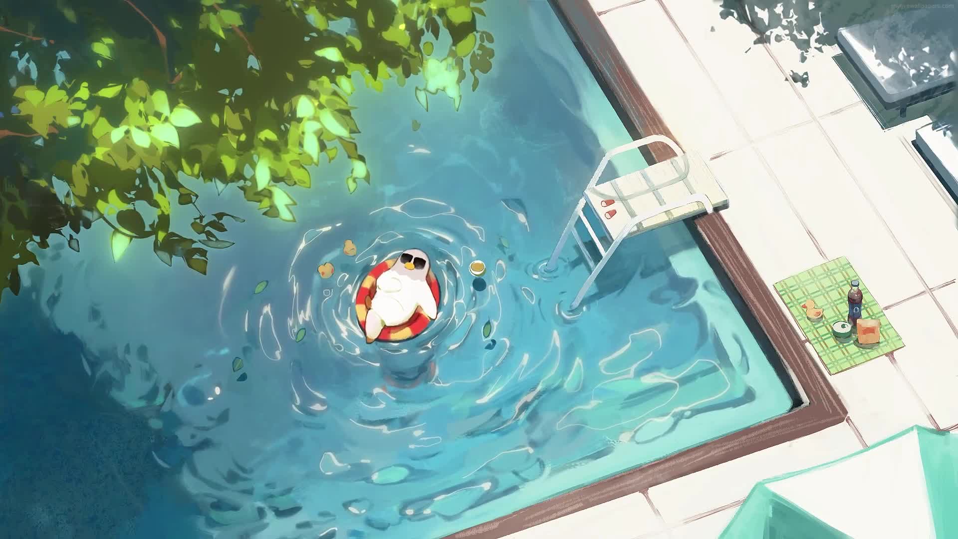 PC Pigeon Chilling live wallpaper