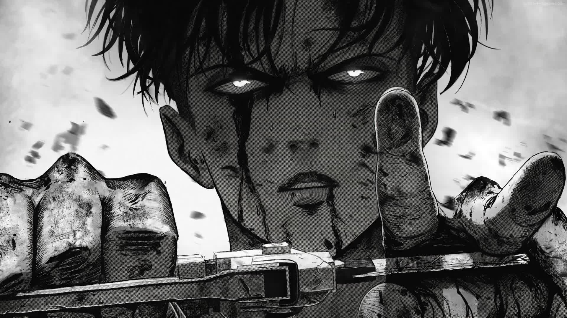 Cool Levi 4k Live Wallpaper Attack On Titan Anime Live wallpaper