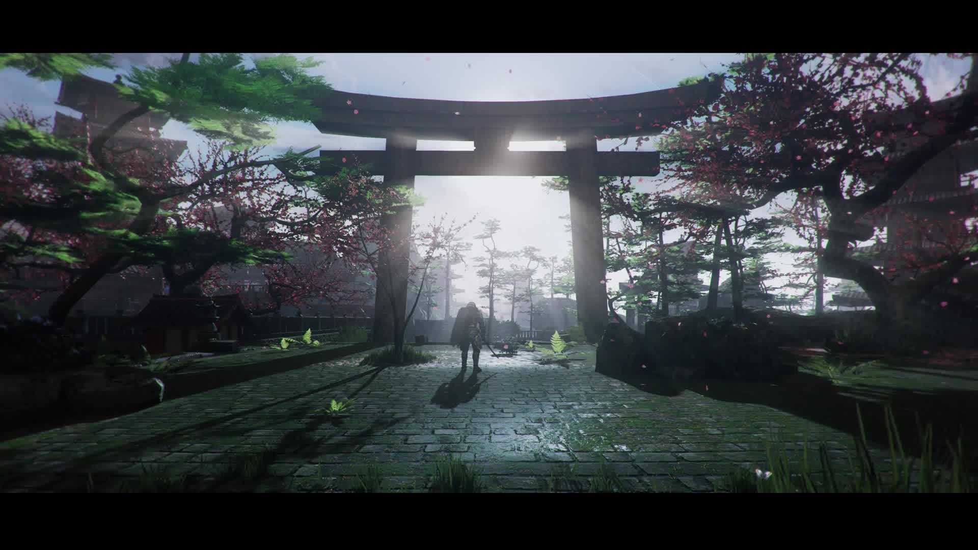 Live wallpaper  Samurai