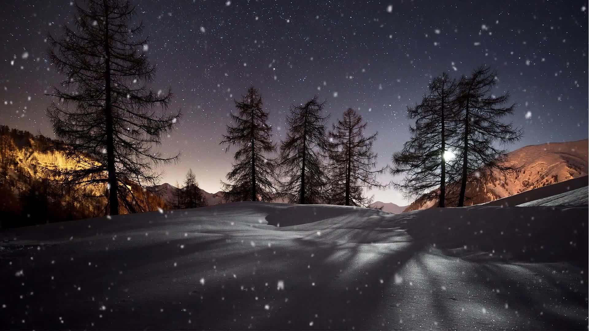 Winter Sun Animated Wallpaper  Wallpaper Engine