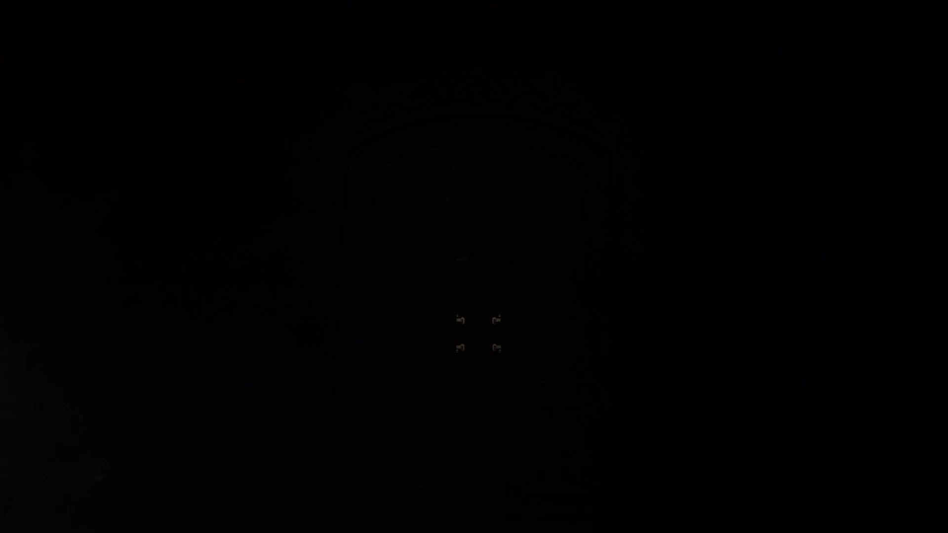 48. Arknight - Radiant [ Live Wallpaper ]