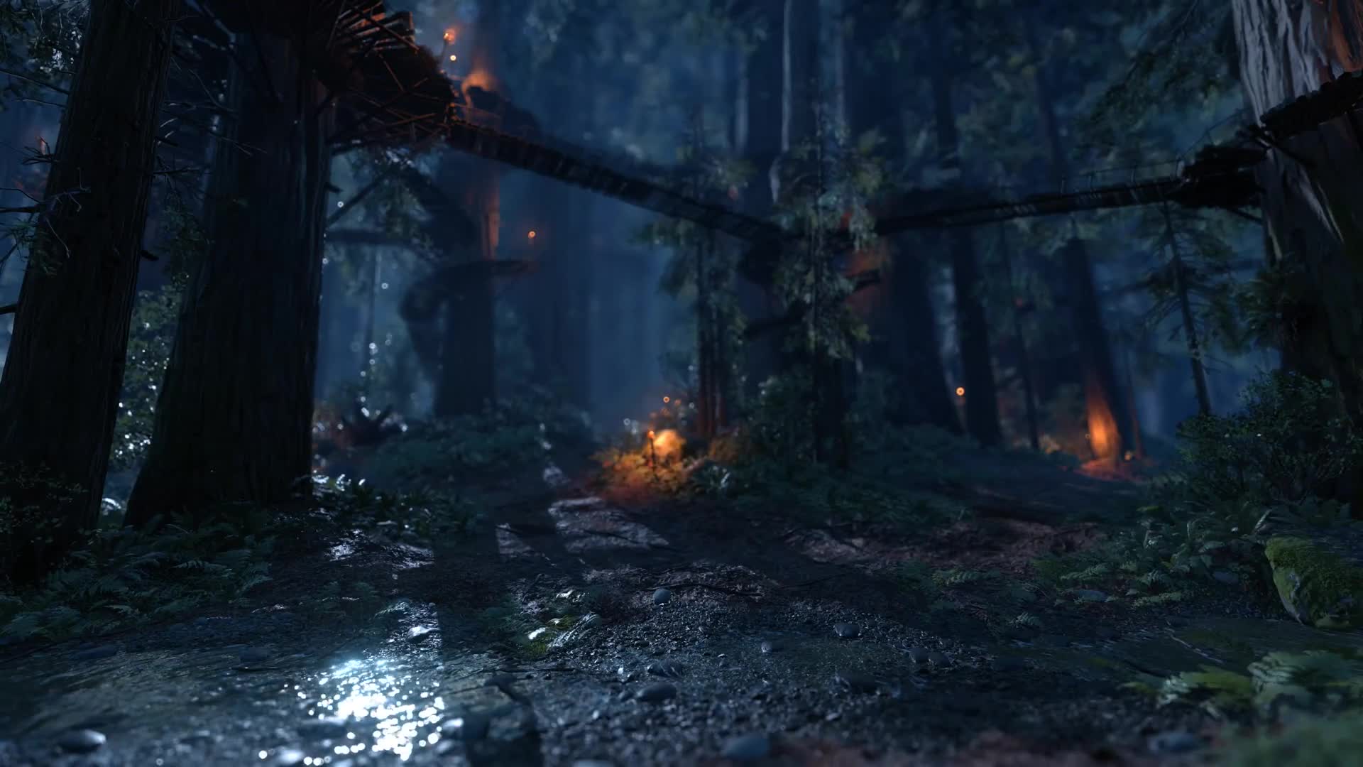 Live Wallpaper Endor Night Scene 2 