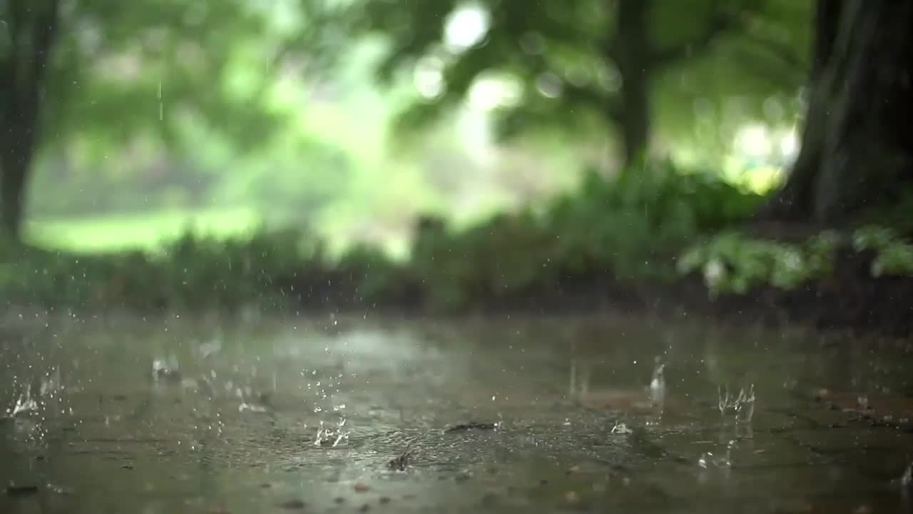 PC Rain Live Wallpaper live wallpaper
