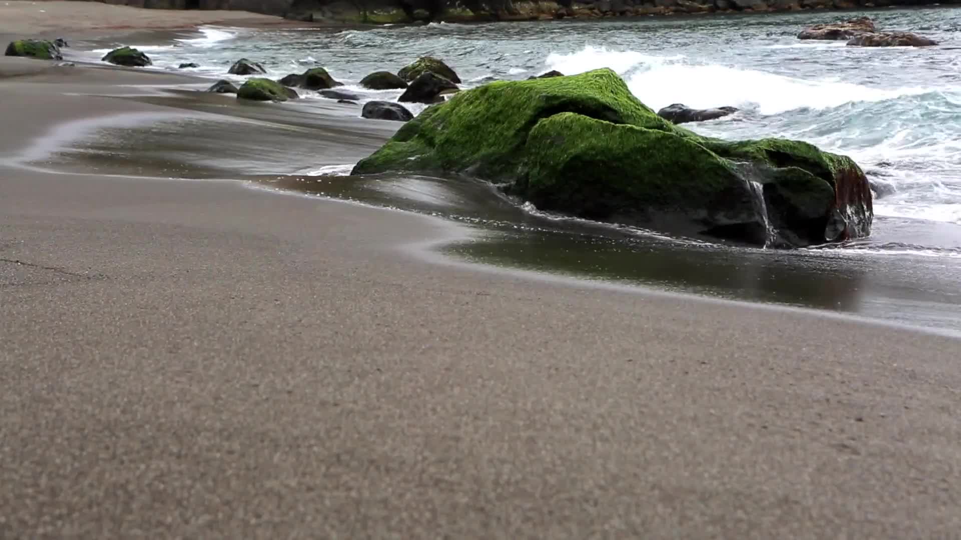 PC Moss on Rocks Live Wallpaper