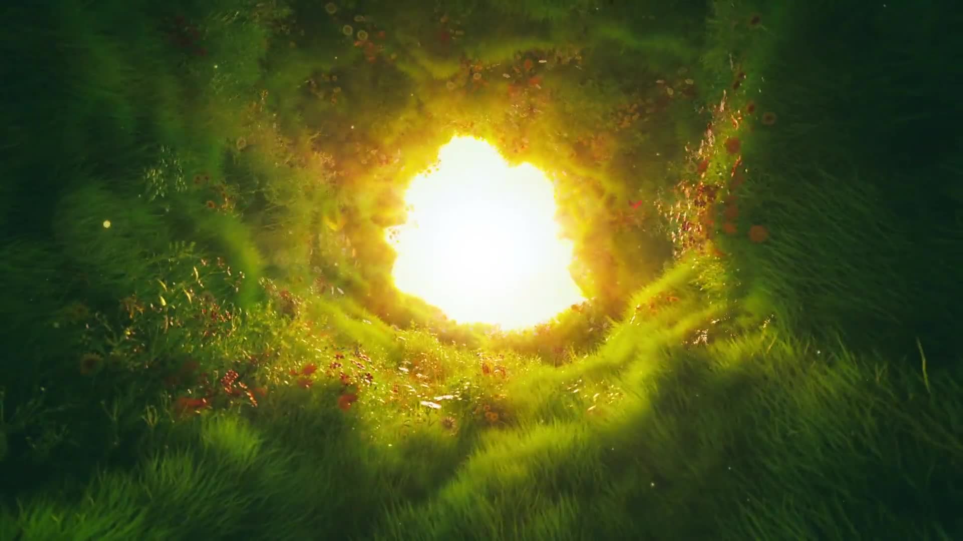 PC Tunnel Grass Live Wallpaper