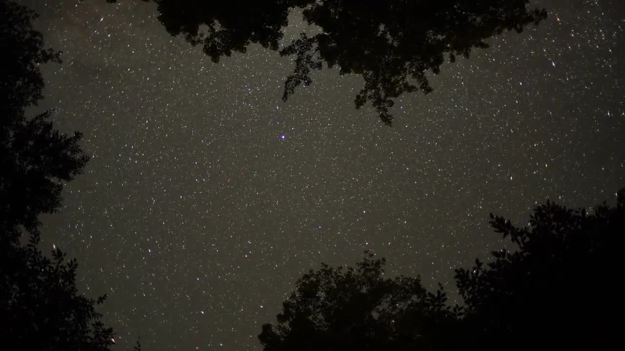 PC Stars Trees Live Wallpaper