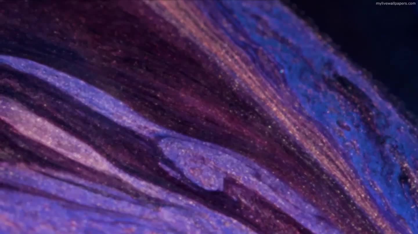 PC SparklesV2 Live Wallpaper