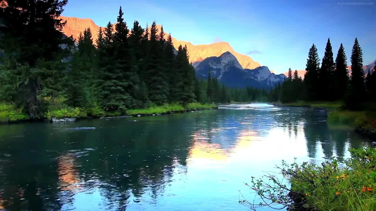 PC River Live Wallpaper