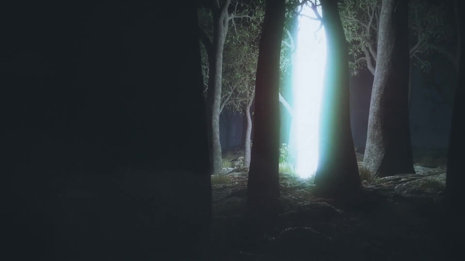 PC Light Beam Forest Live Wallpaper