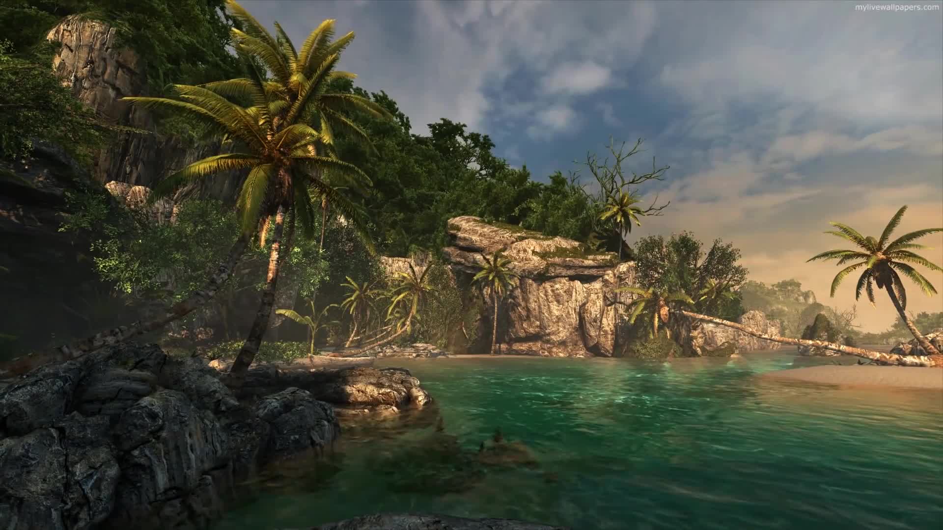 PC Tropical Beach Live Wallpaper