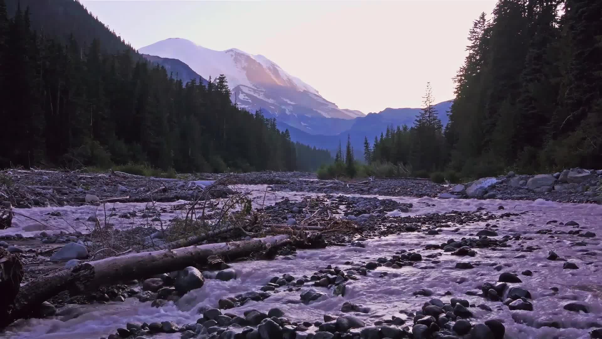 PC Stream Nature Live Wallpaper