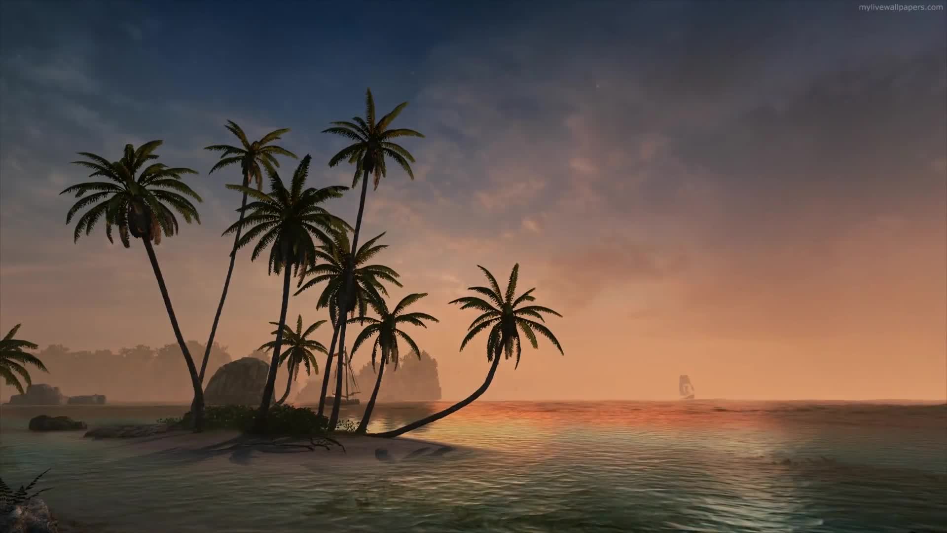 PC Evening Beach Live Wallpaper