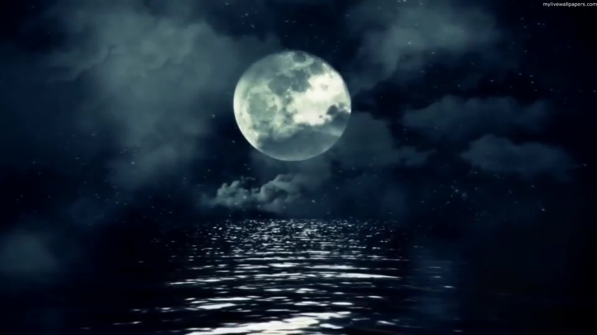 PC Full Moon Ocean 1 Live Wallpaper
