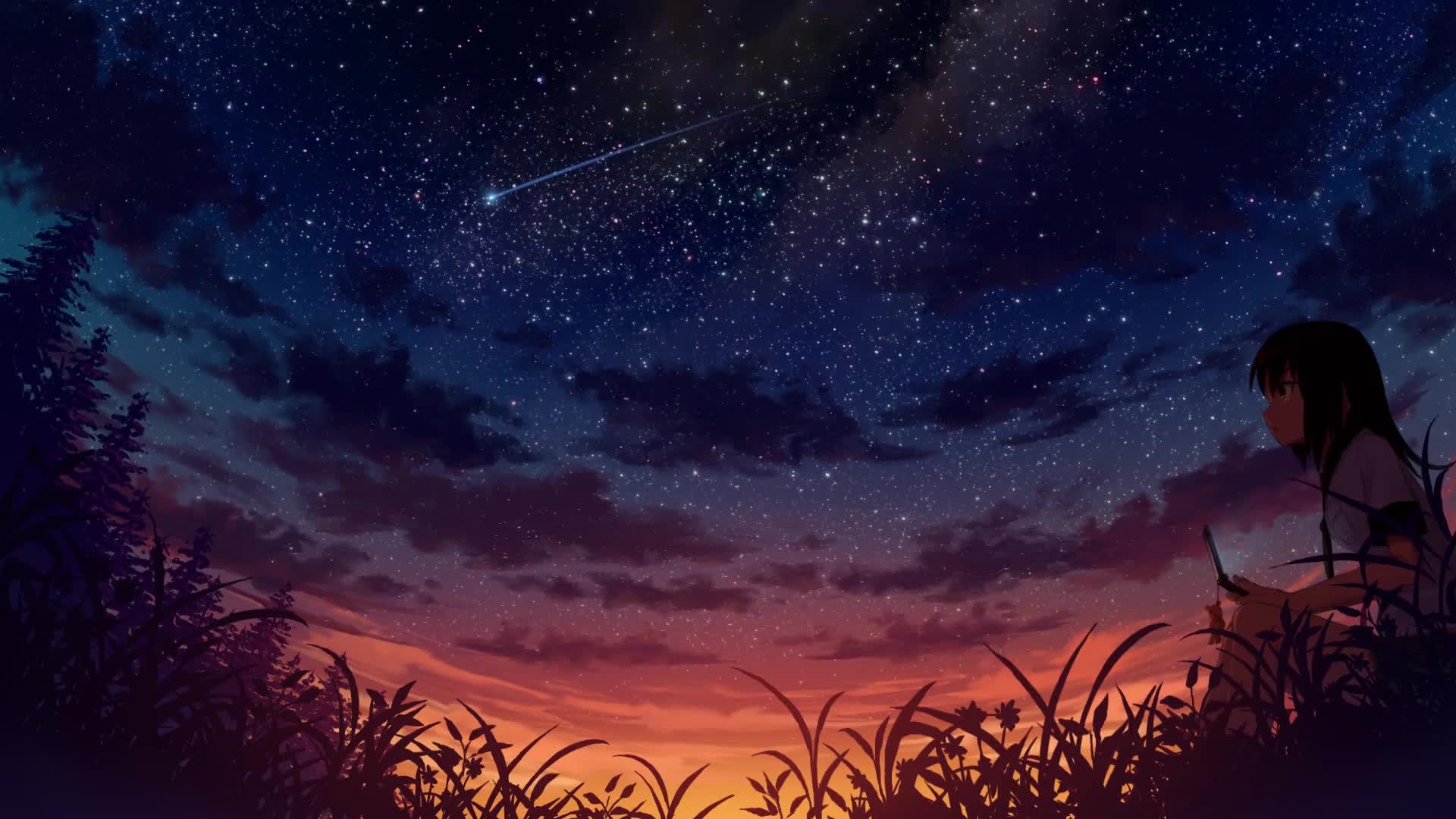 PC Starry Night Live Wallpaper