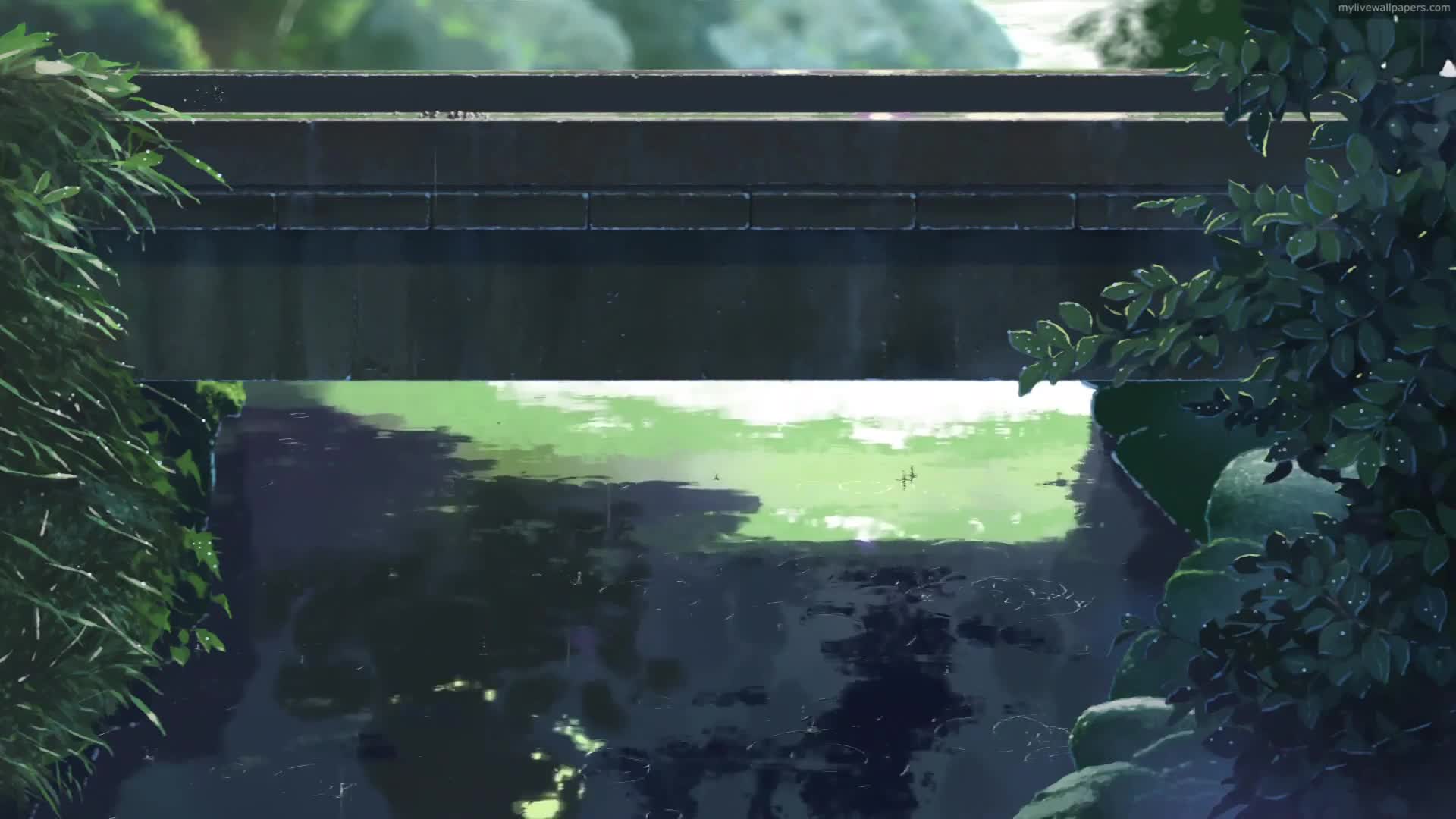 PC Raining Bridge Live Wallpaper