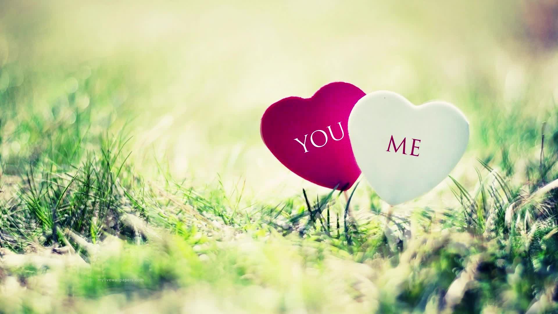 PC Grass Hearts Live Wallpaper