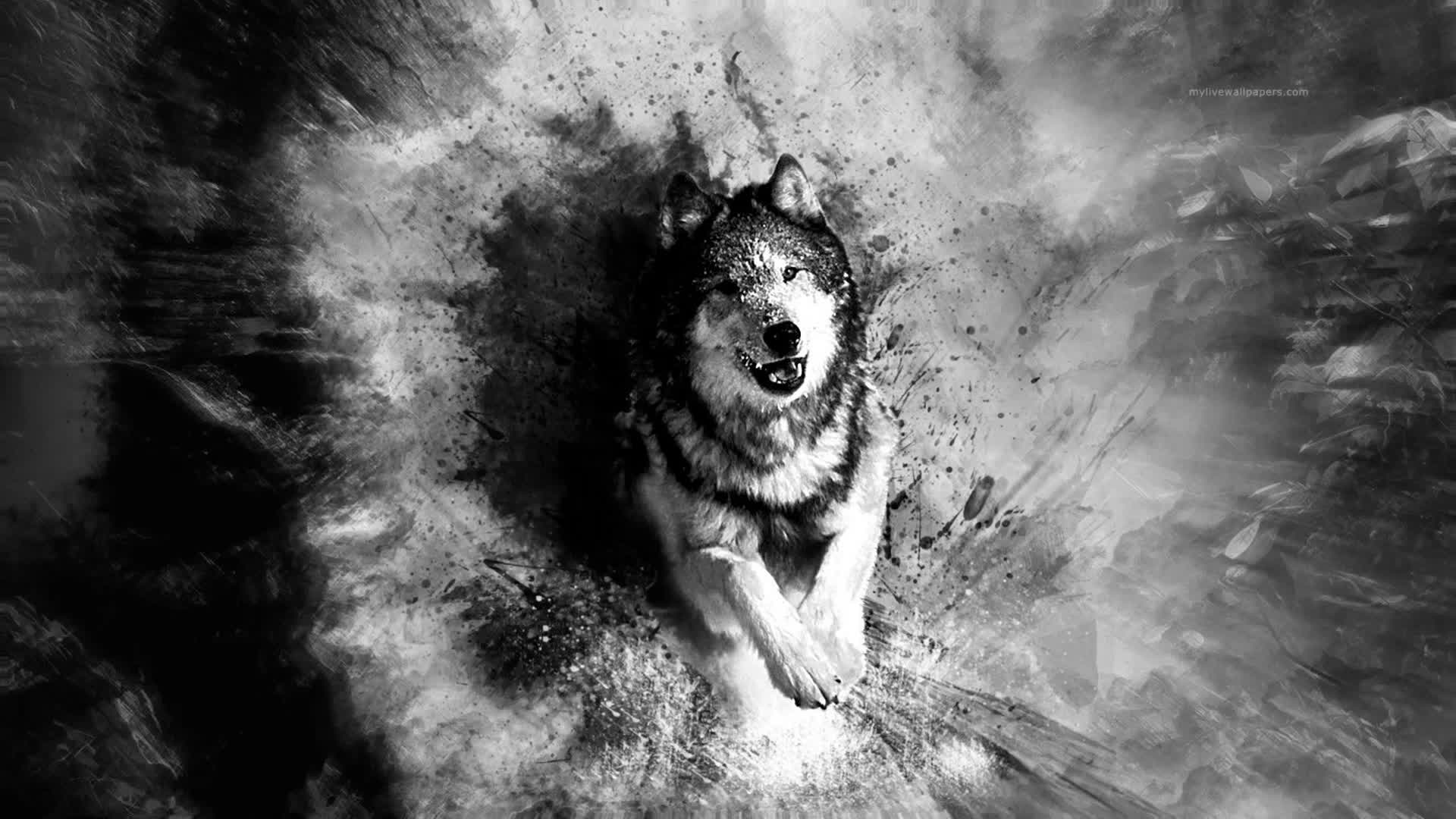 PC Wolf Splatter Live Wallpaper