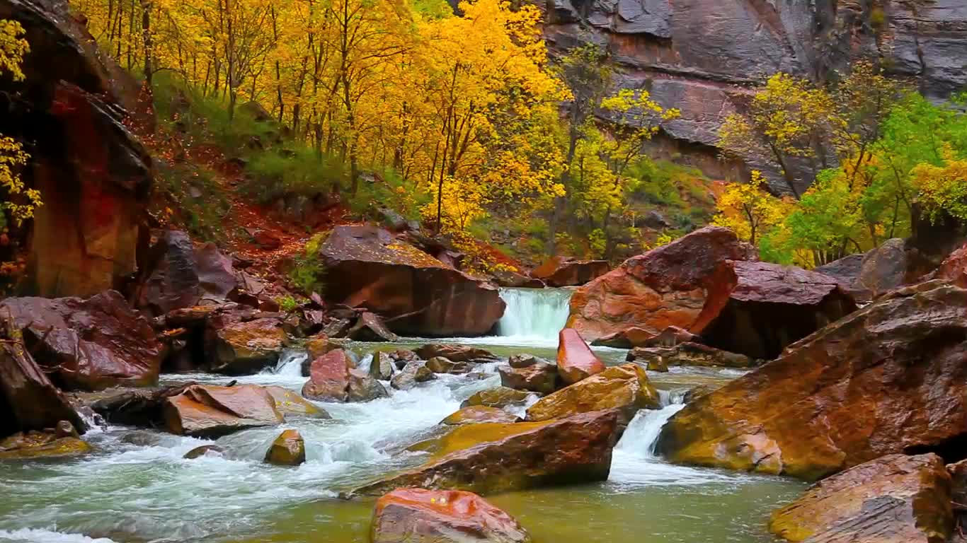 PC River Autumn Live Wallpaper