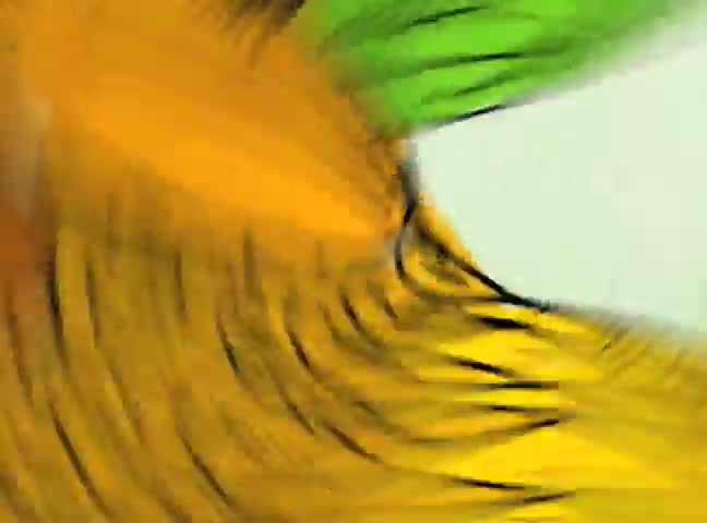 Stock Forward Spin Fest Live Wallpaper