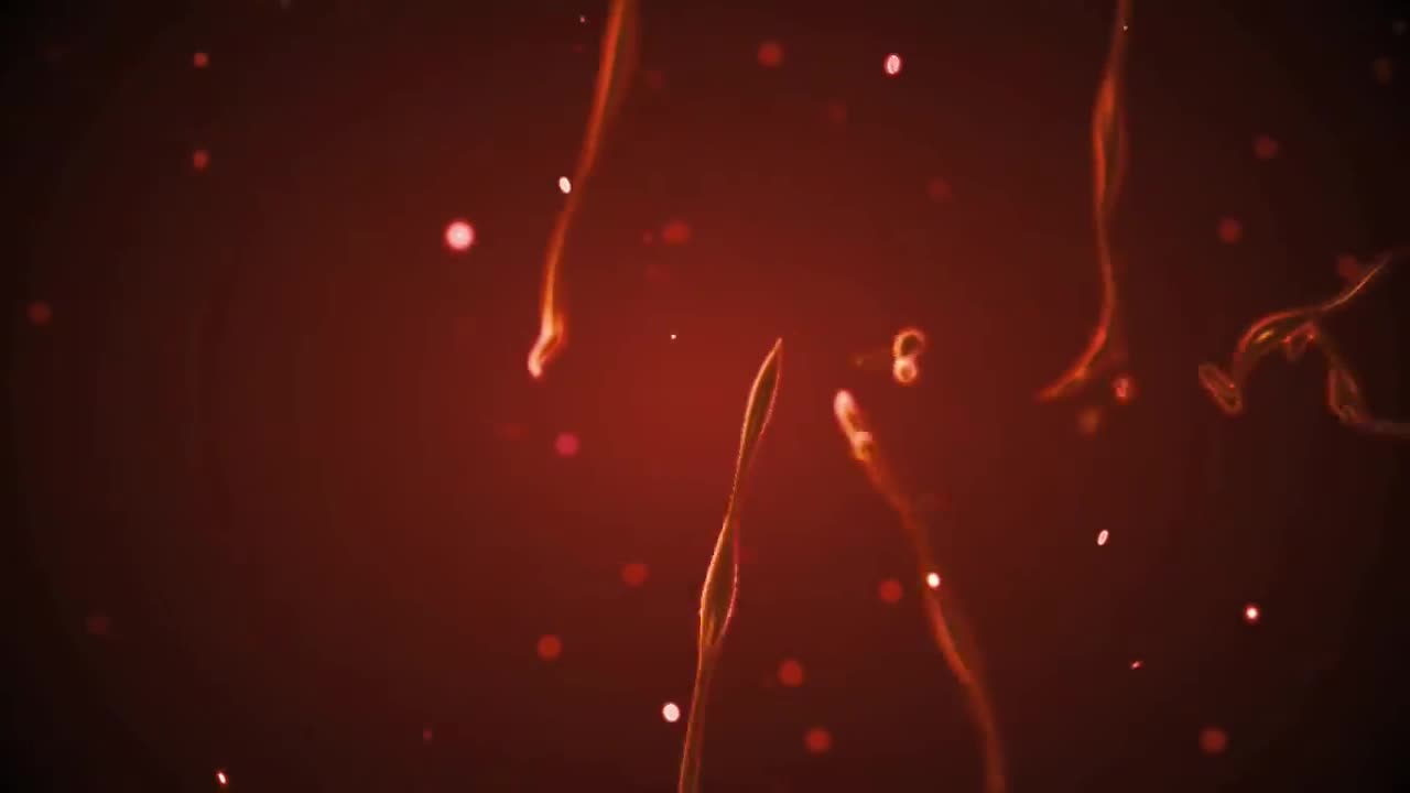 Stock Orange Neural Net Live Wallpaper