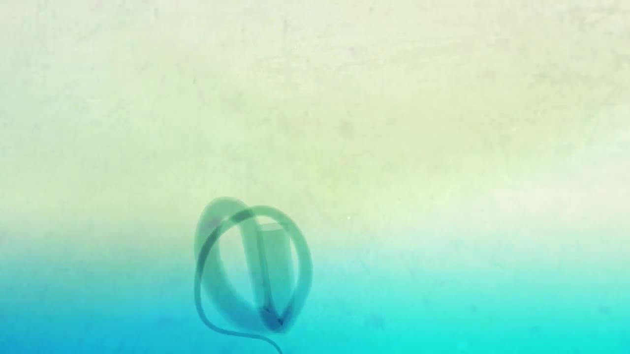 Stock Stringers Loop Live Wallpaper