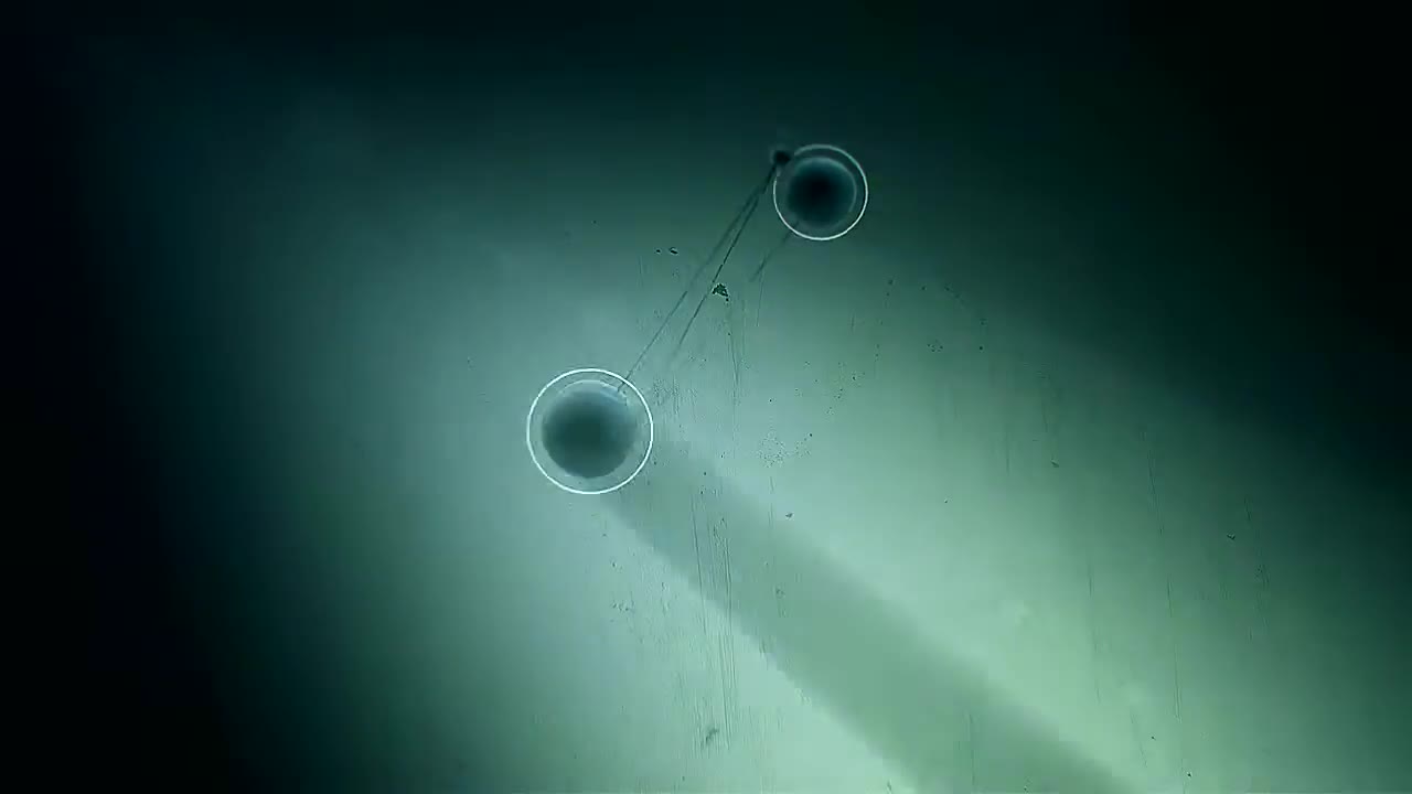 Stock Frankenstyle Live Wallpaper