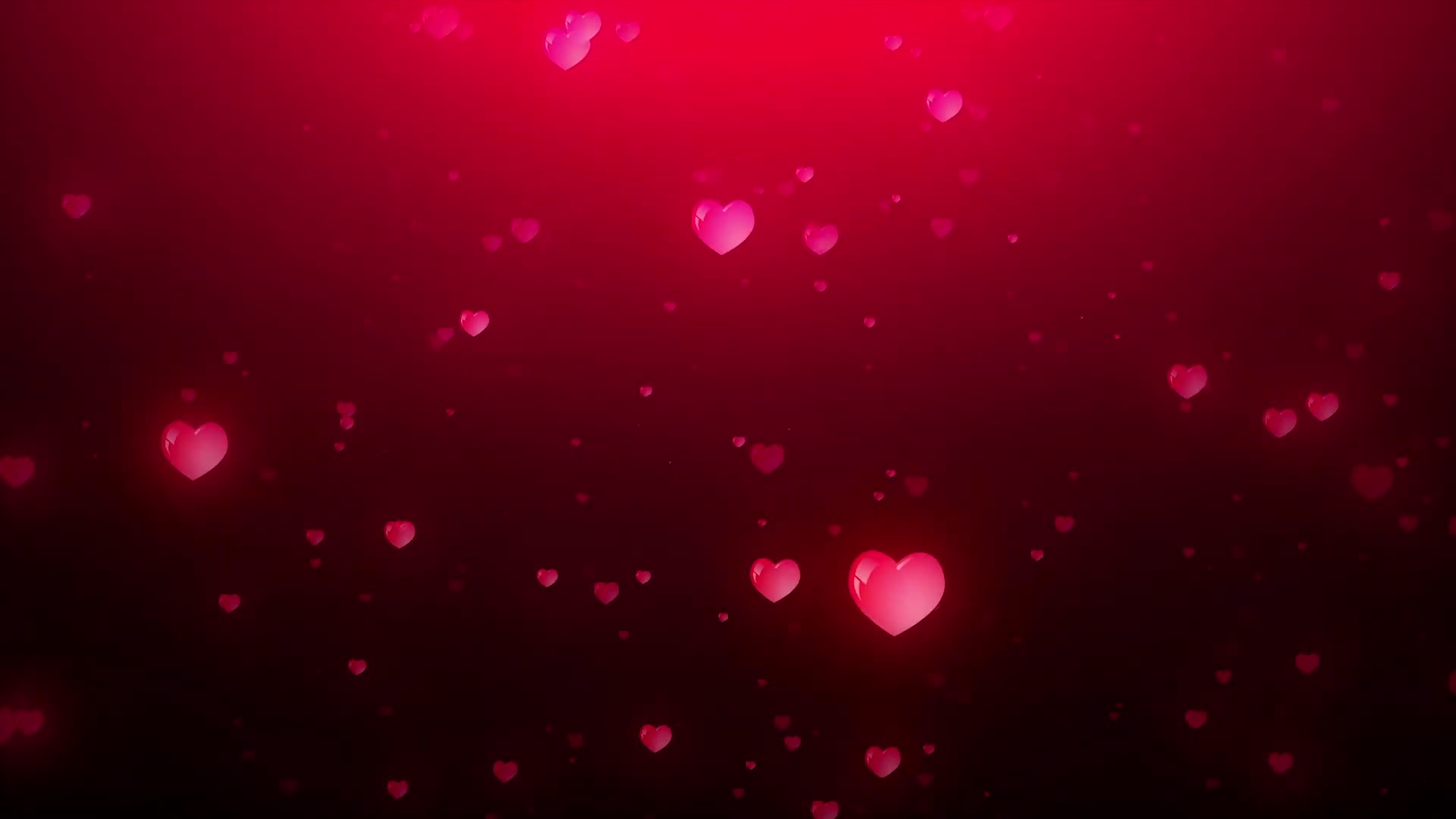 Background Video Footage with hearts Video animation hearts background video effects